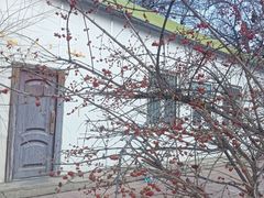 -黎弯德咖啡(南公园店)