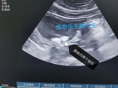 -宠颐生动物医院·心脏科·保险定点(锦阳分院)