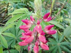 -无锡市市民中心