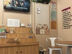 -唐小姐の私宠·宠物洗护美容·撸猫馆·购宠(周浦万达旗舰店)