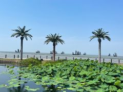 -1718食尚馆·太湖菜(龙之梦太湖古镇店)