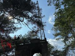 -缙云山景区