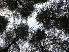-广州市帽峰山景区