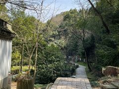 -上海佘山国家森林公园天马山园