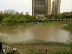 -堤角公园