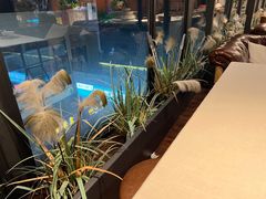 -花间别院(凤凰店)