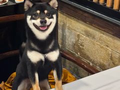 -勝記酒家·37年老字号·经典粤菜(荔枝公园店)