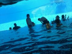 -横琴湾水世界