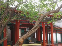 -宫事颐庭·老佛爷贵寿下午茶(颐和园店)