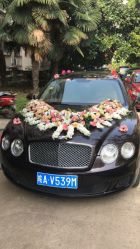 -蚂蚁婚车