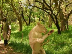 -卡塞拉自然公园