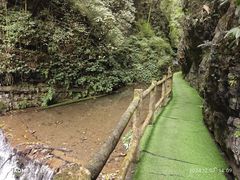 -重庆彩云湖湿地公园
