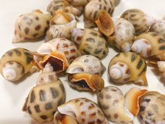 -皮记海鲜1995(寮步店)
