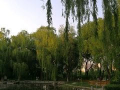 -玲珑塔公园