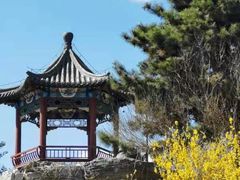 -大兴滨河森林公园