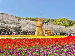 -苏州上方山国家森林公园