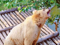 -济南野生动物世界