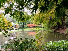 -上海共青森林公园