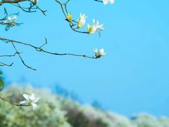 -溪口-滕头旅游景区