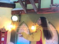 -世界之窗阿尔卑斯冰雪世界