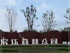 -上海滨江森林公园