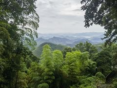 -莫干山风景区