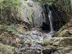 -莫干山风景区
