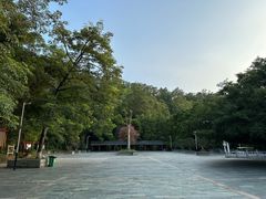 -水濂山森林公园