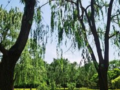 -北坞公园