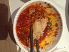 -董记老清泉·鲜切涮羊肉(窑岭店)