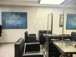 -付军剪艺JF ProSalon