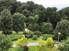 -铁山坪森林公园