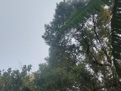 -乌山风景区