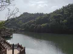-桃花岭景区