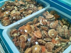 -港畔赶海蒸汽海鲜烧烤自助(仙螺岛店)