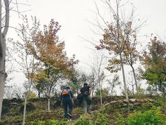 -十渡高山漂流