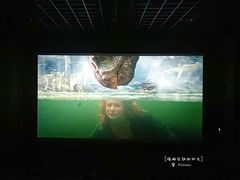 -博纳国际影城IMAX(中央大道店)