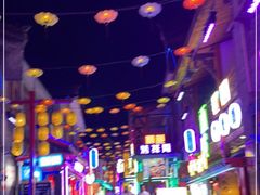 -鸿恩陶然大观园