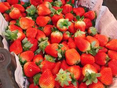 -红星农博物流中心