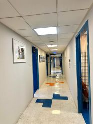 -杭州贝瑞斯美华妇儿医院·早孕·产检·儿科