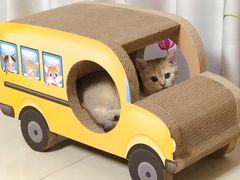 -猫大福·Fortune Cat猫舍(百子湾店)