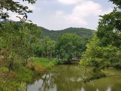 -龙寺生态园