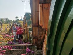 -武汉紫薇都市田园