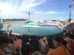 -秦皇岛乐岛海洋王国