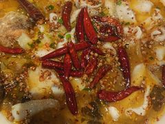 招牌鲈鱼酸菜鱼-太二酸菜鱼(群光广场店)