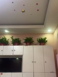 -香薇妮丝·定制减肥·身材管理