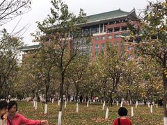 -那坡里比萨(康王北路店)