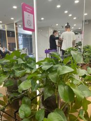 -那茉 Hair Salon