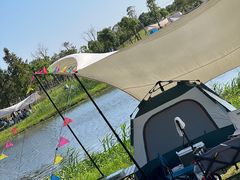 -春花秋色城市公园