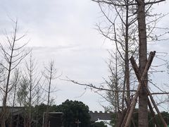 -洛阳市隋唐城遗址植物园